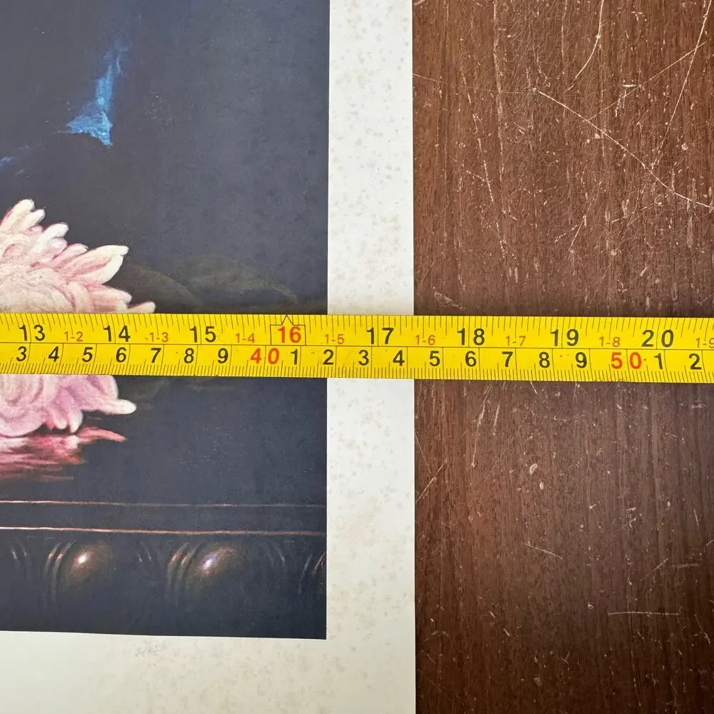 Robert O. Lindneux chrysanthemum pink